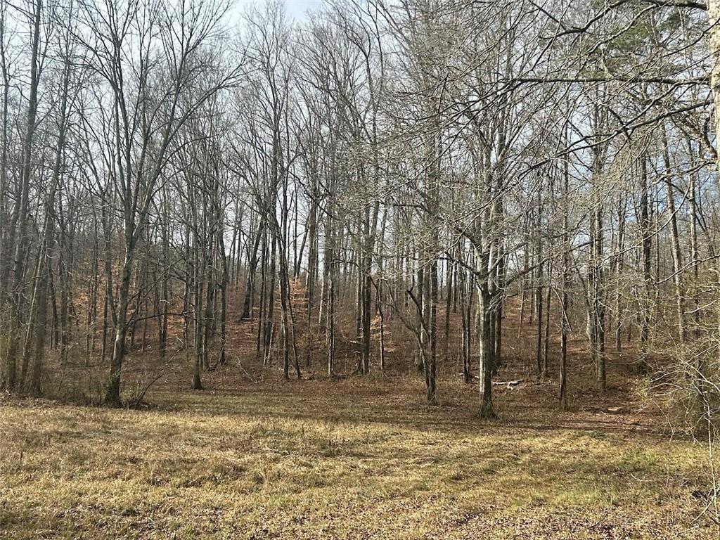 250 Riversong Road Carrollton, GA 30117 - Photo 51 of 67