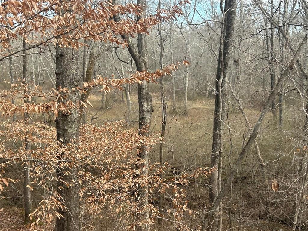 250 Riversong Road Carrollton, GA 30117 - Photo 53 of 67