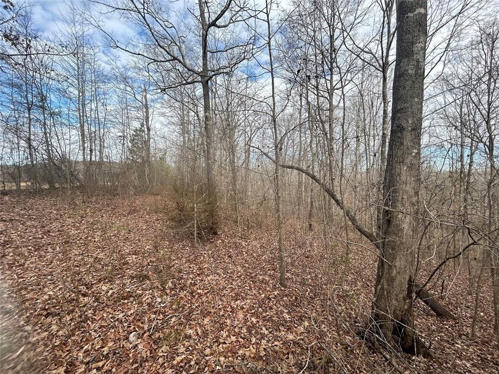 250 Riversong Road Carrollton, GA 30117 - Photo 60 of 67