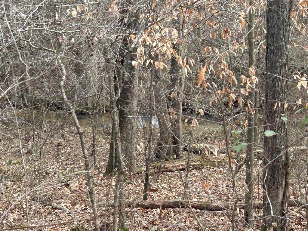 250 Riversong Road Carrollton, GA 30117 - Photo 61 of 67