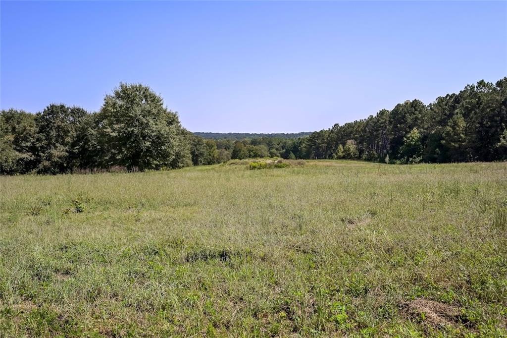 250 Riversong Road Carrollton, GA 30117 - Photo 8 of 67