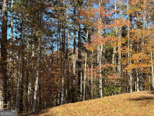 $255,000 | 222 Piedmont Lane, Clayton, GA 30525