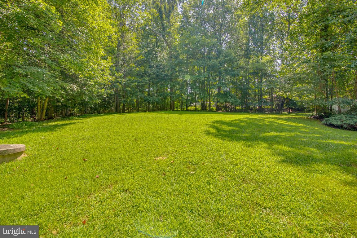 13613 Bethel Road Manassas, VA 20112 - Photo 11 of 66 So much green space!