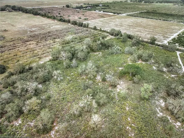 a view of a green field with lots of bushes