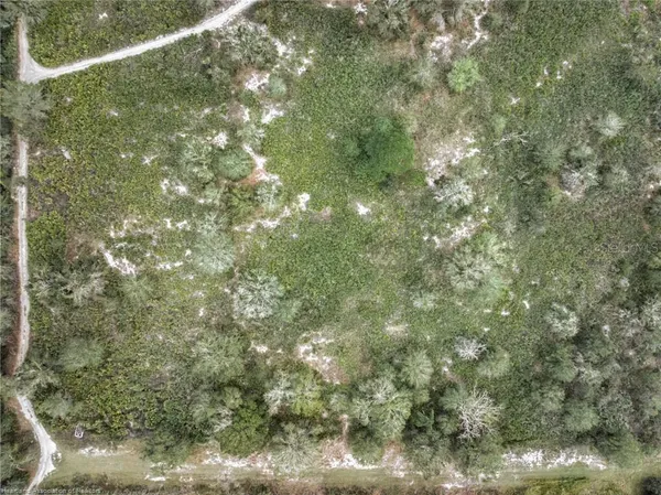 a view of a city with lush green forest