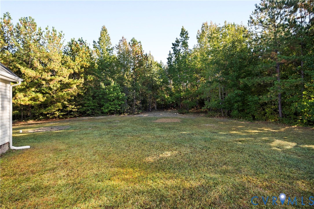 16409 Courthouse Road Dinwiddie, VA 23841 - Photo 48 of 59 Gallery Image 48