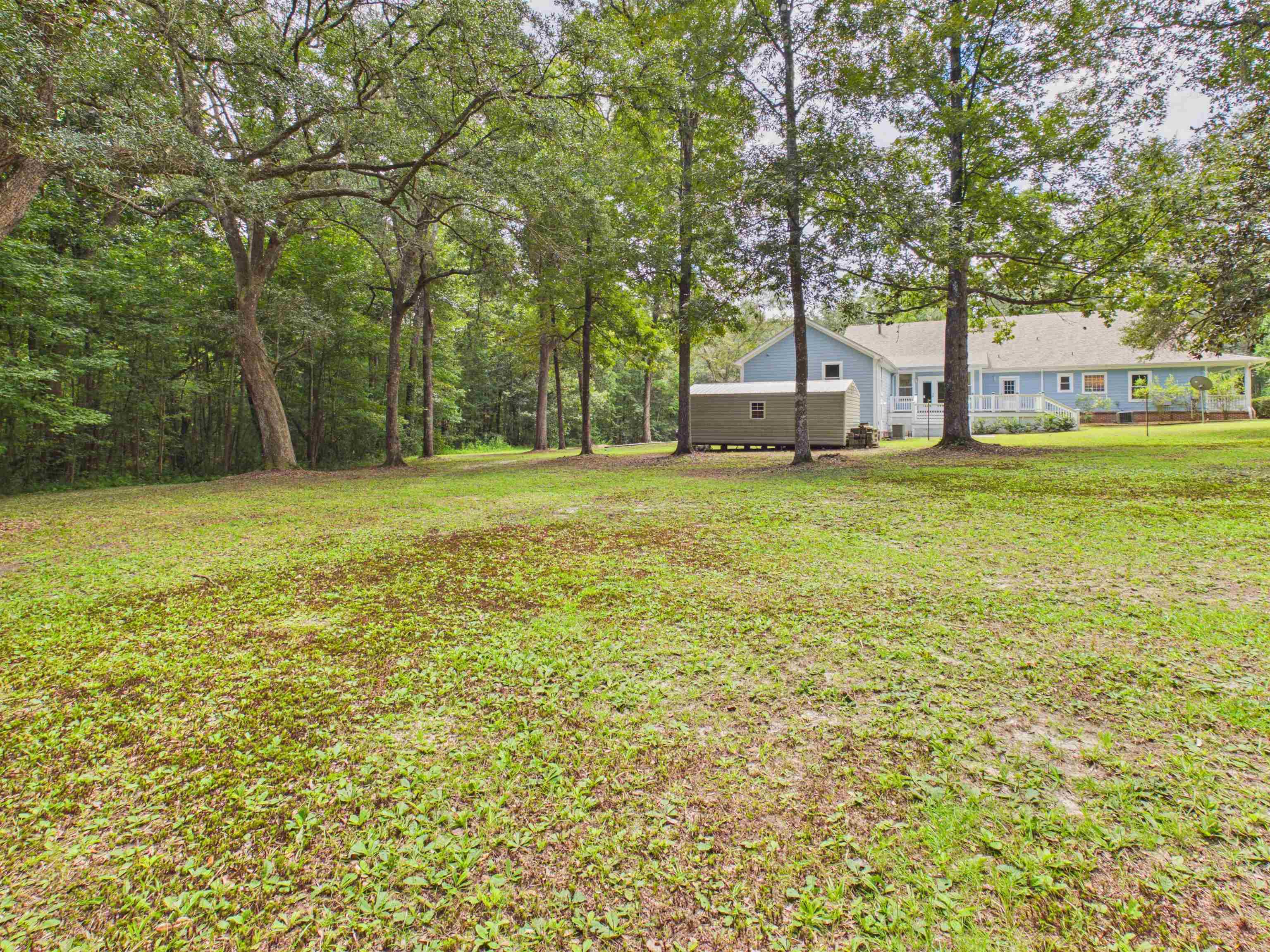 615 Bell Road Havana, FL 32333 - Photo 59 of 65 Gallery Image 59
