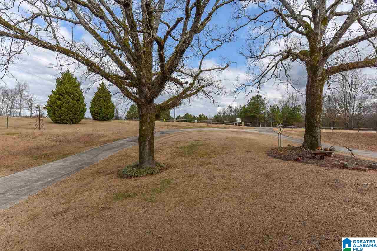 8430 Taylors Ferry Road Bessemer, AL 35023 - Photo 4 of 41