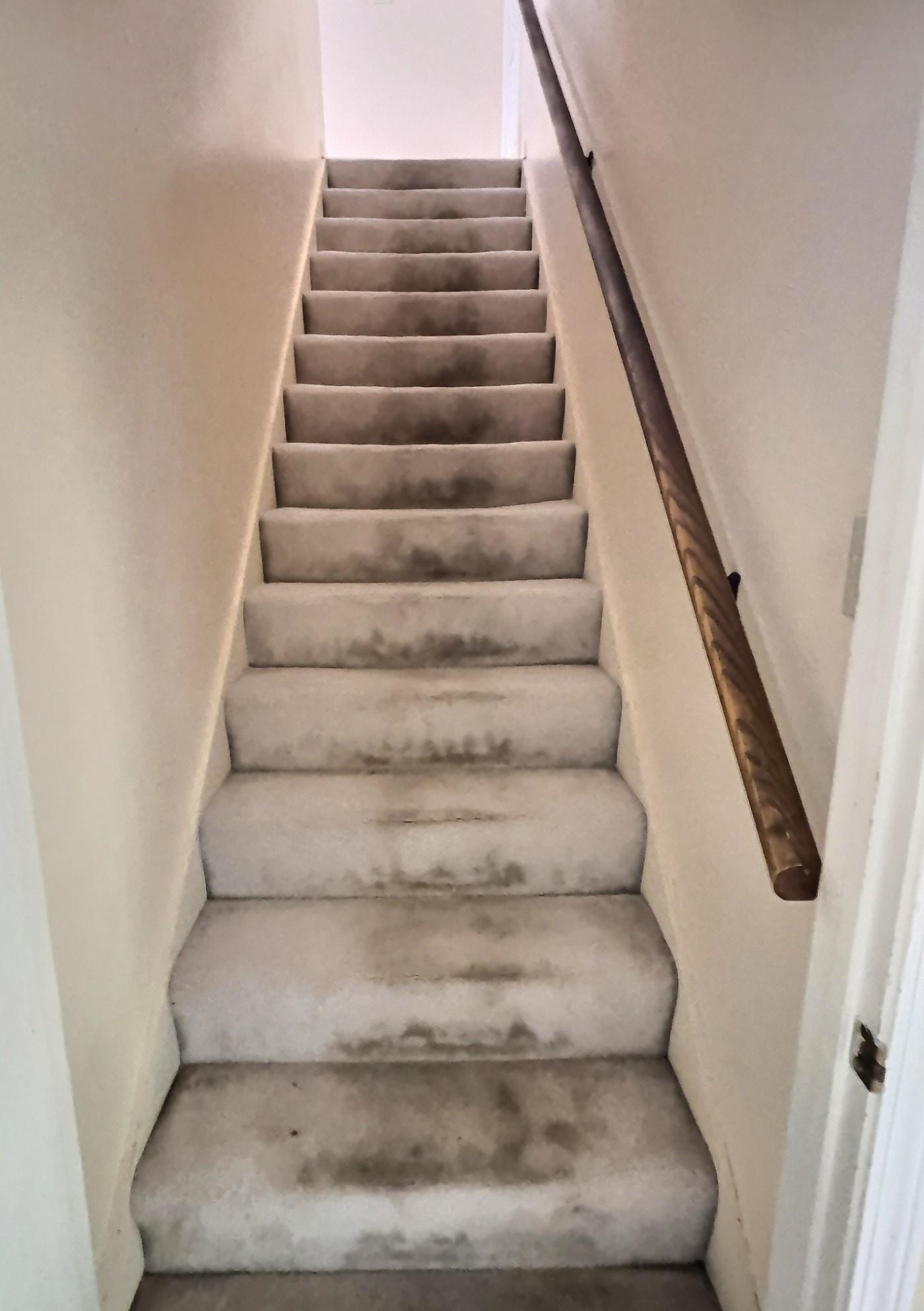 8222 Dogwood Road Germantown, TN 38139 - Photo 35 of 40 a view of entryway