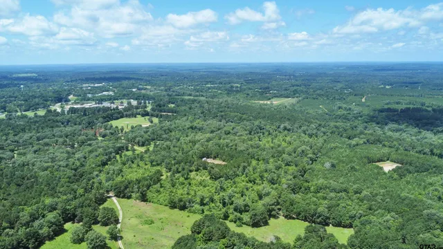 an aerial view of residential houses with outdoor space and trees