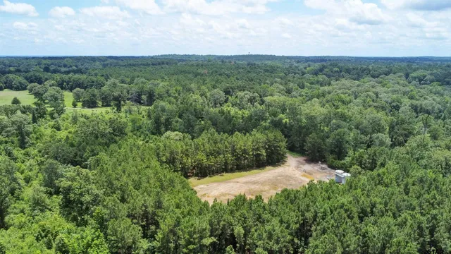 a view of a lush green forest