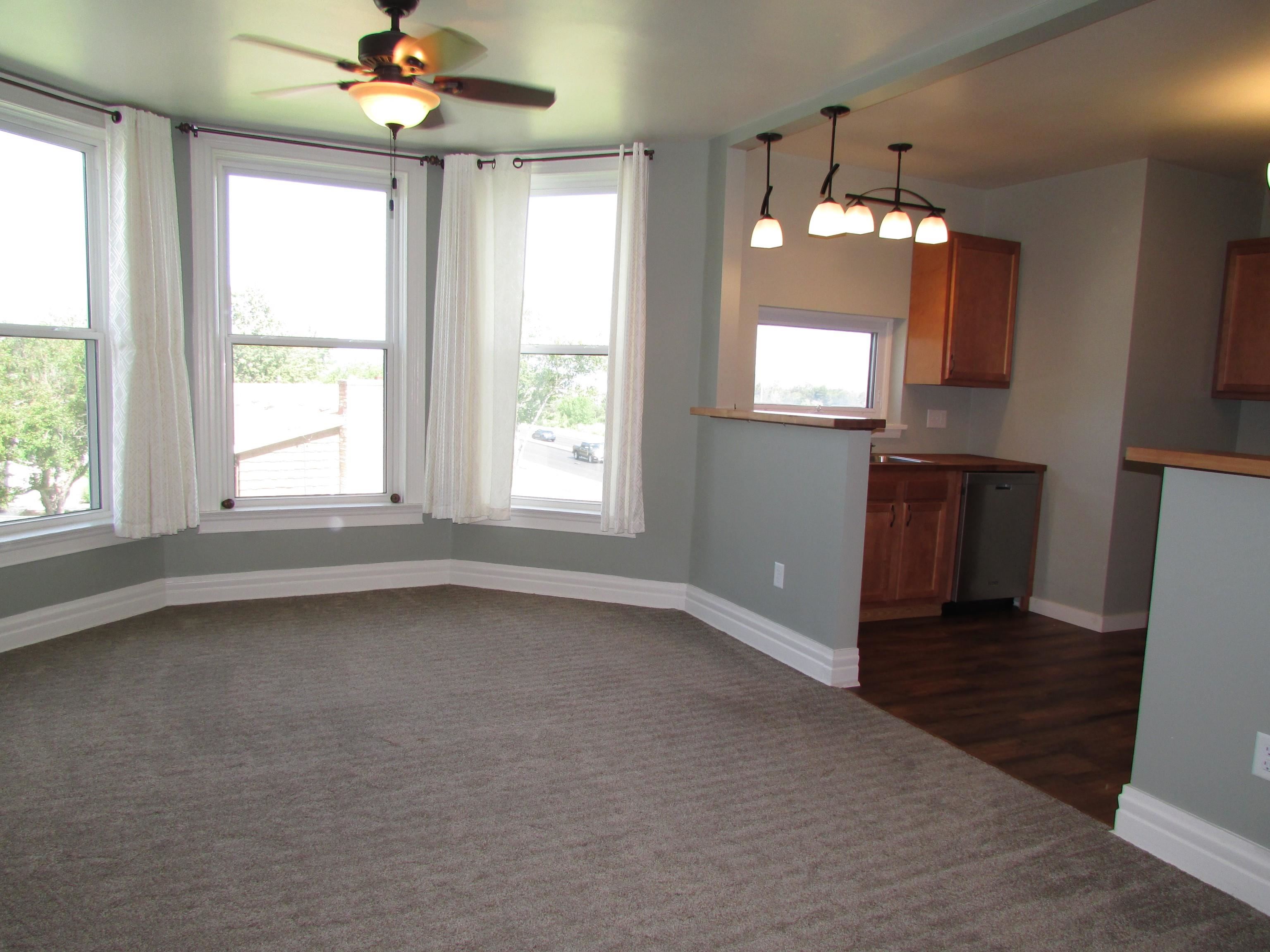1212 East 2nd Street Superior, WI 54880 - Photo 2 of 19 Unfurnished dining area with ceiling fan, a wealth of natural light, and dark carpet