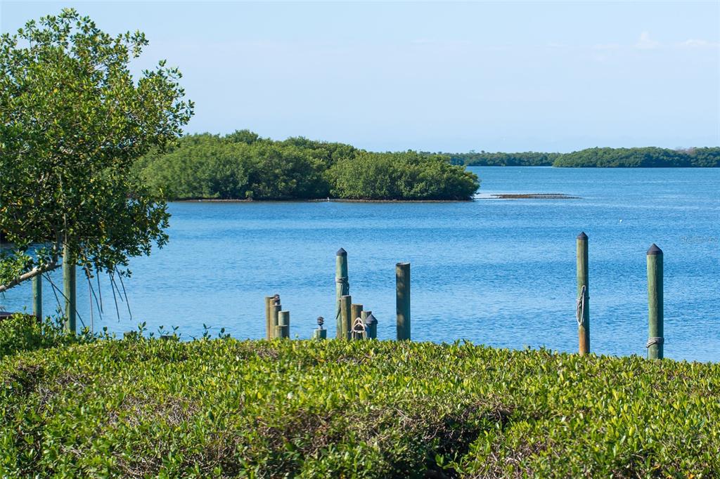 2424 Placida Road, Unit C101 Englewood, FL 34224 - Photo 40 of 65 a view of a lake with a yard