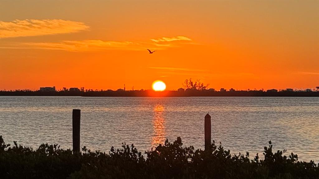 2424 Placida Road, Unit C101 Englewood, FL 34224 - Photo 46 of 65