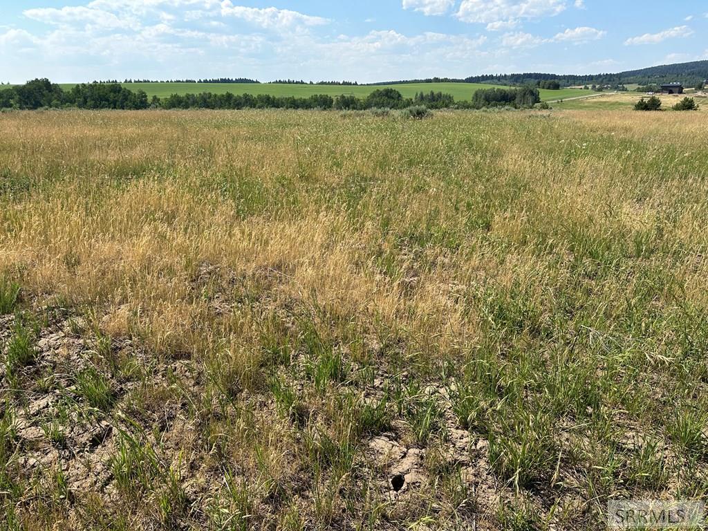 1593 Sharptail Lane East Ashton, ID 83420 - Photo 2 of 23