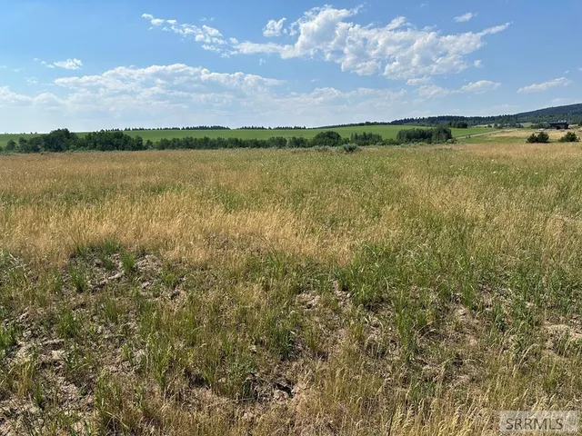 $255,000 | 1593 Sharptail Lane East, Ashton, ID 83420