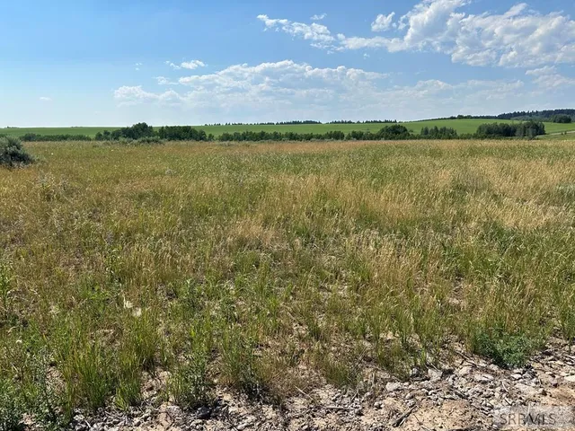 $255,000 | 1593 Sharptail Lane East, Ashton, ID 83420