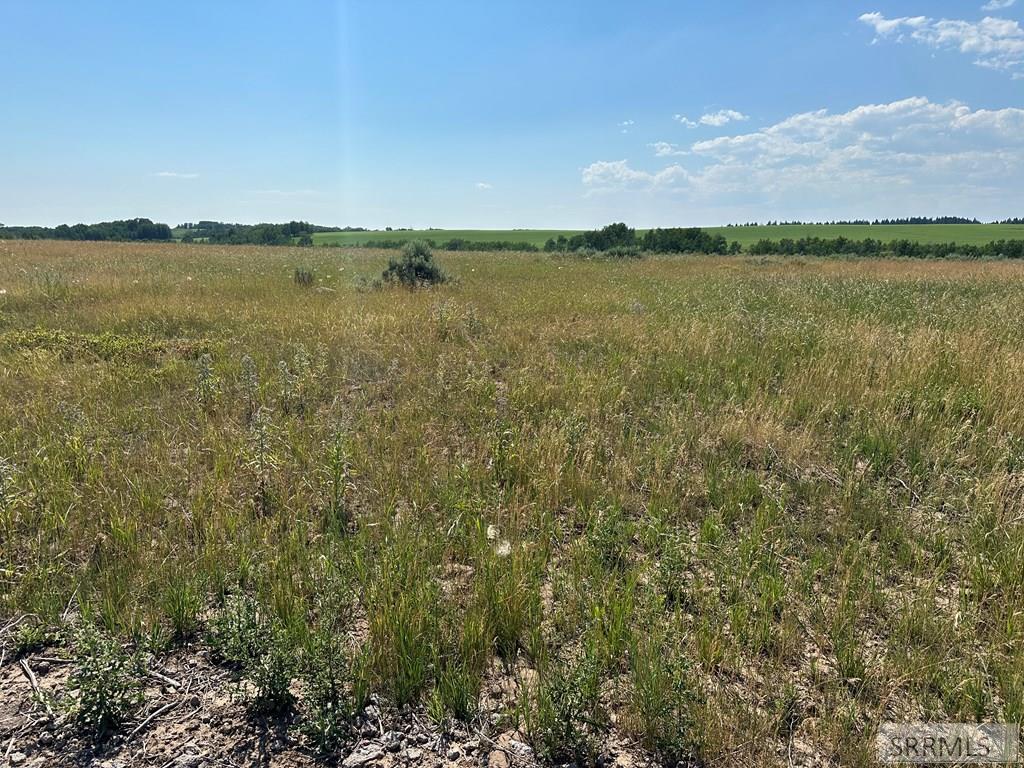 1593 Sharptail Lane East Ashton, ID 83420 - Photo 6 of 23