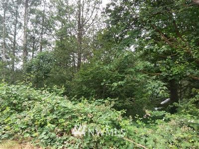 0 Ridgeway Place Sedro-Woolley, WA 98284 - Photo 1 of 1 Gallery Image 1