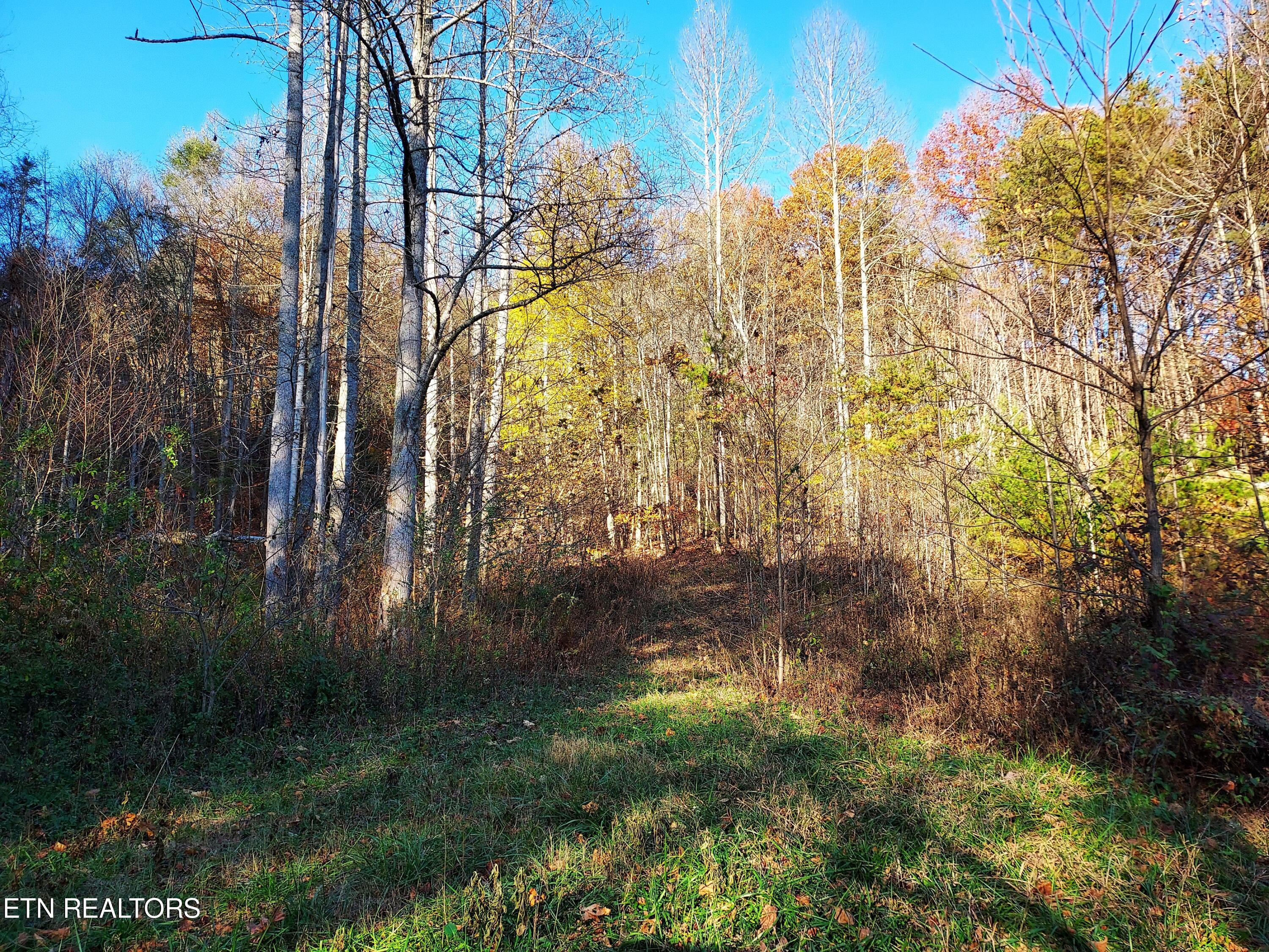 Tbd Ferguson Cemetery Road Sneedville, TN 37869 - Photo 3 of 31 155313