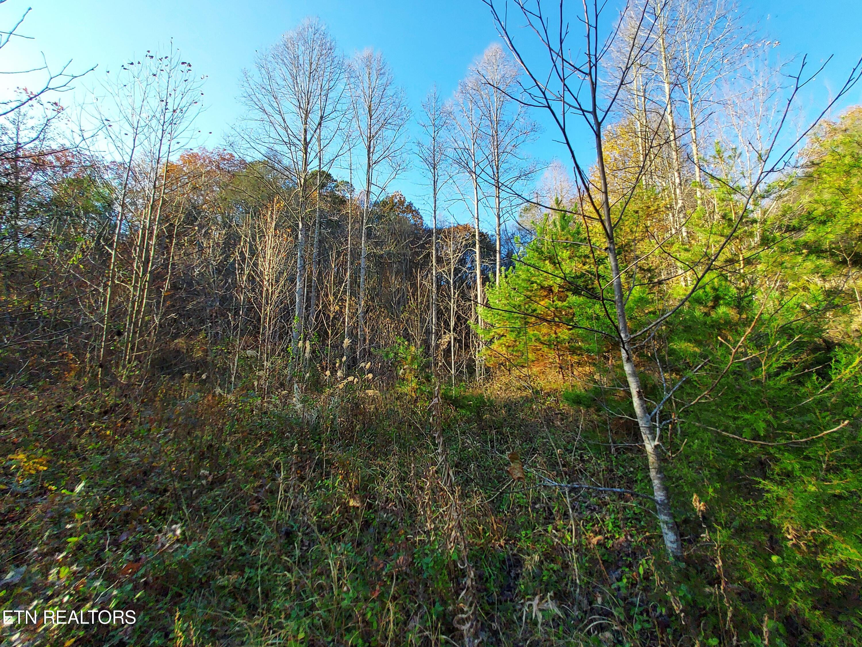 Tbd Ferguson Cemetery Road Sneedville, TN 37869 - Photo 6 of 31 155740