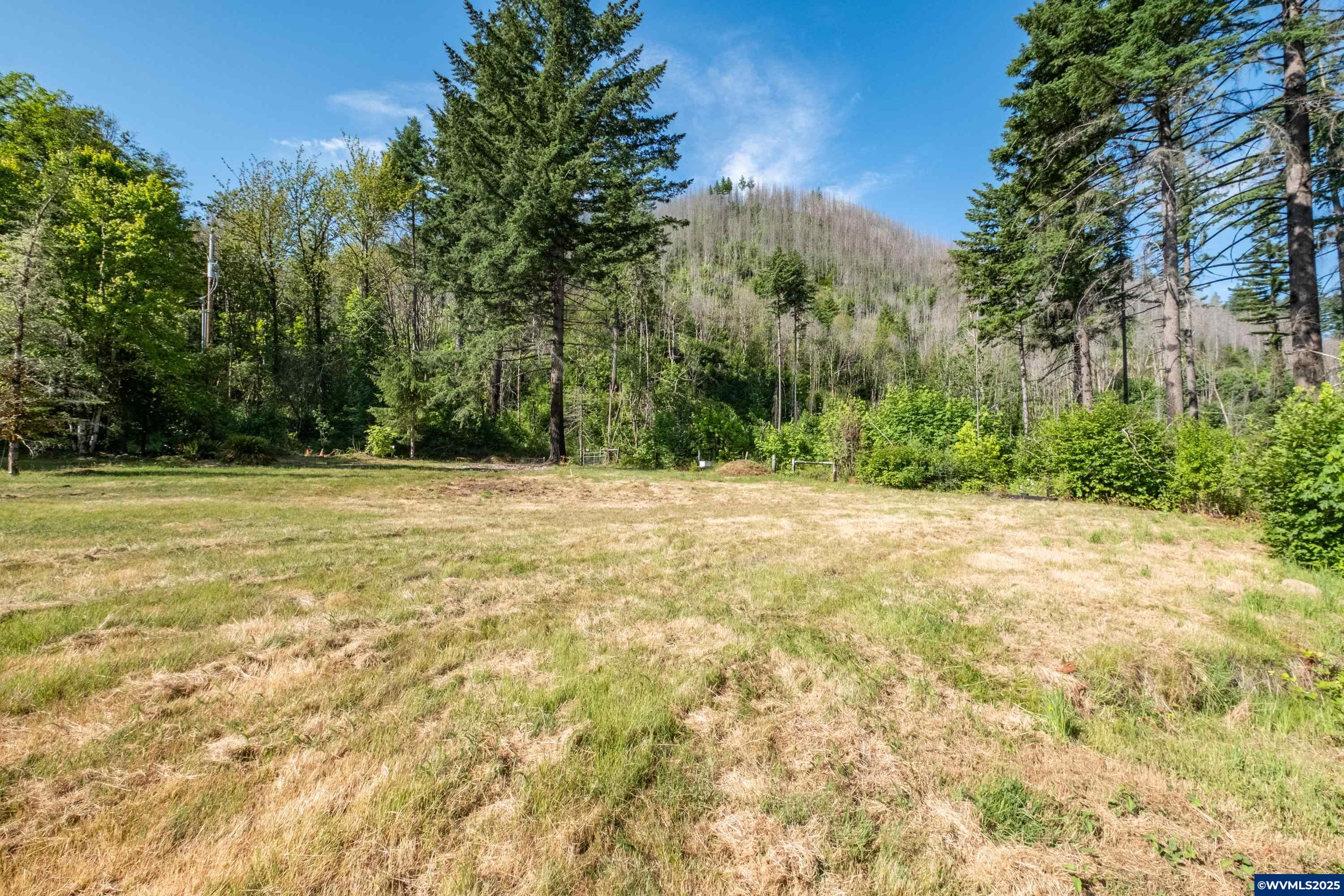 26147 Taylor Park Road Southeast Lyons, OR 97358 - Photo 7 of 25