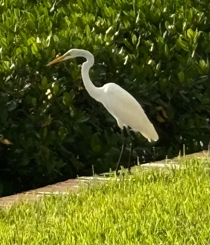 $6,500 | 4440 Northeast Sandpebble Trace, Unit 104, Stuart, FL 34996