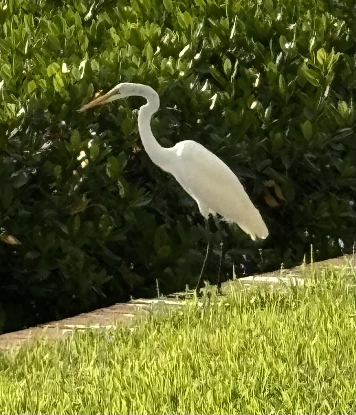 4440 Northeast Sandpebble Trace, Unit 104 Stuart, FL 34996 - Photo 33 of 33