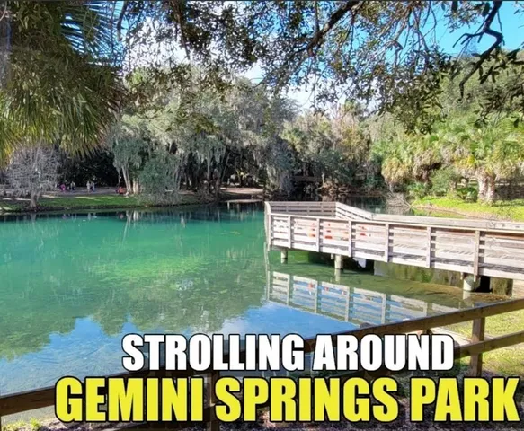 a wooden bridge and lake view