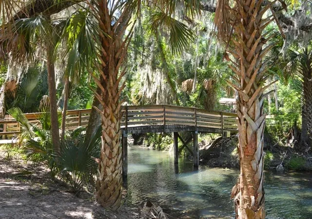 a view of water pond with lots of trees