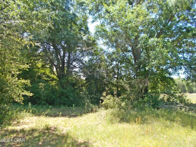 $77,500 | 2-ac Melon Lane, Grand Ridge, FL 32442