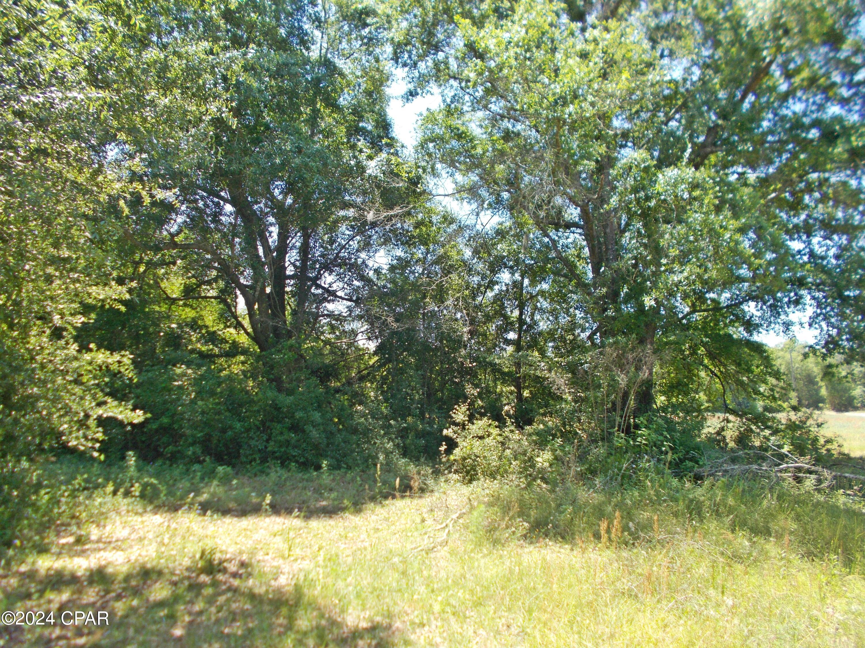 2-ac Melon Lane Grand Ridge, FL 32442 - Photo 13 of 14