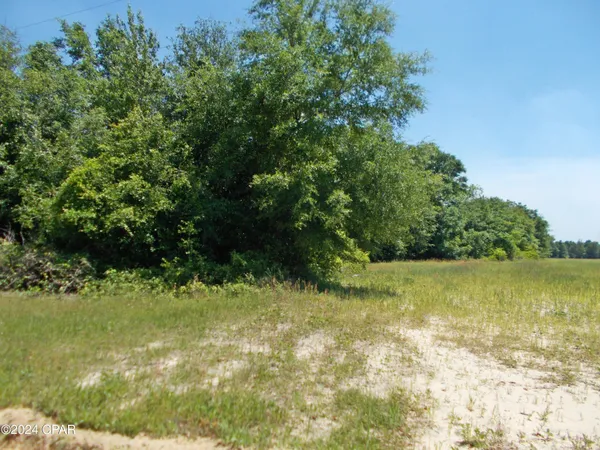 $77,500 | 2-ac Melon Lane, Grand Ridge, FL 32442