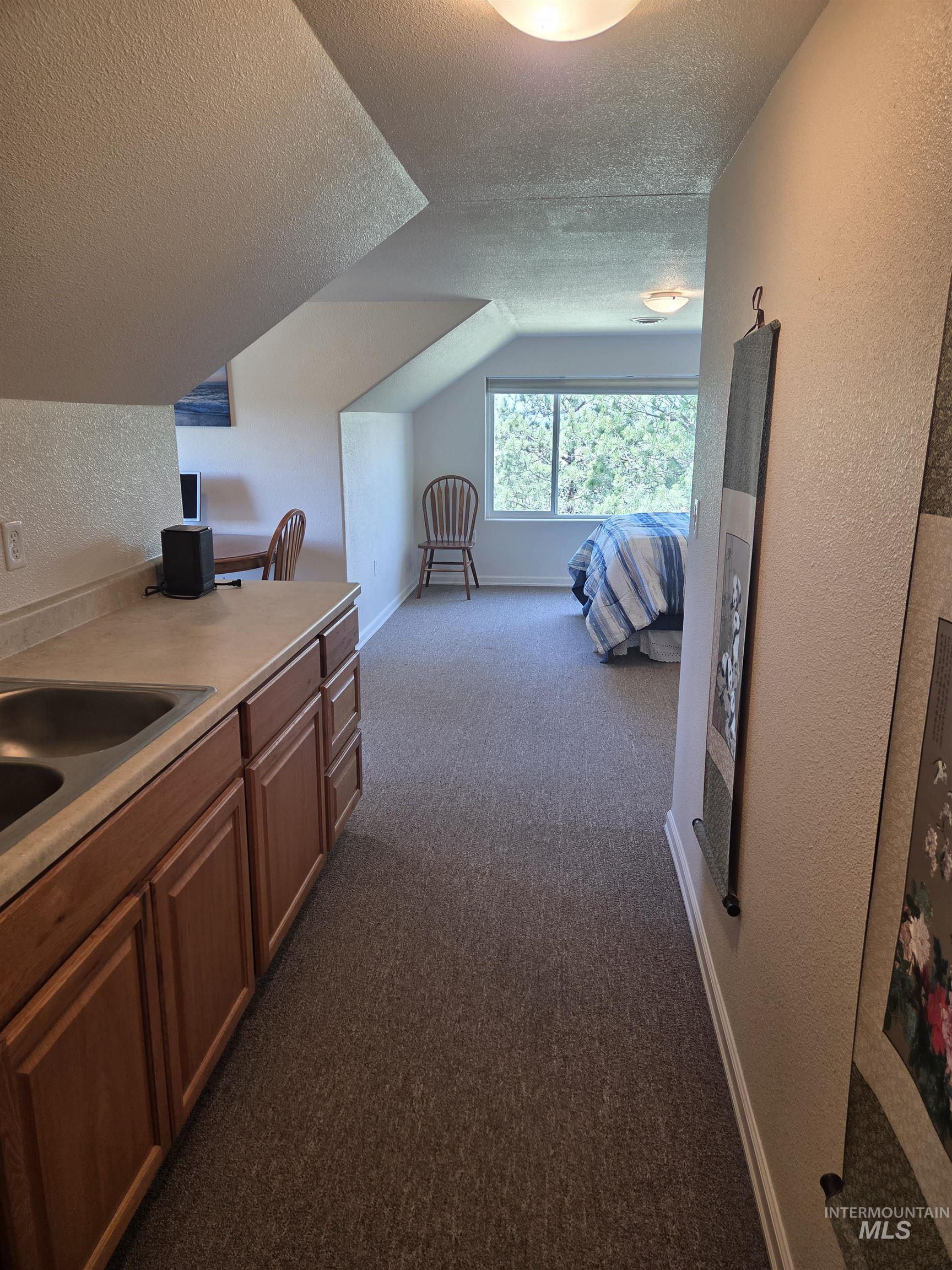 1085 Wallen Road Moscow, ID 83843 - Photo 33 of 50 Compact living area featuring a built-in countertop with an integrated sink, wood cabinetry, and neutral carpeting