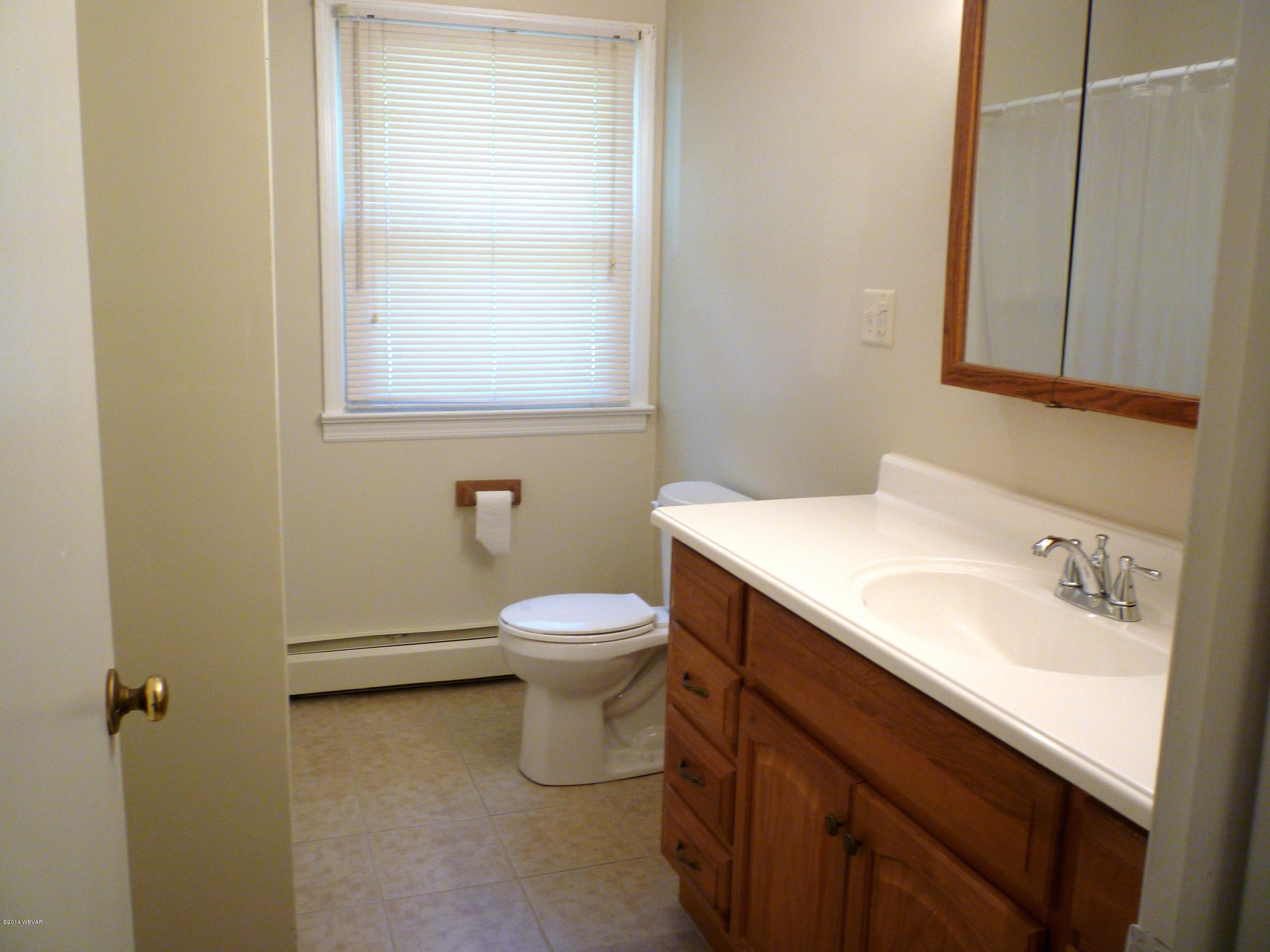 305 Quenshukeny Road Linden, PA 17744 - Photo 17 of 38 Main bath 1