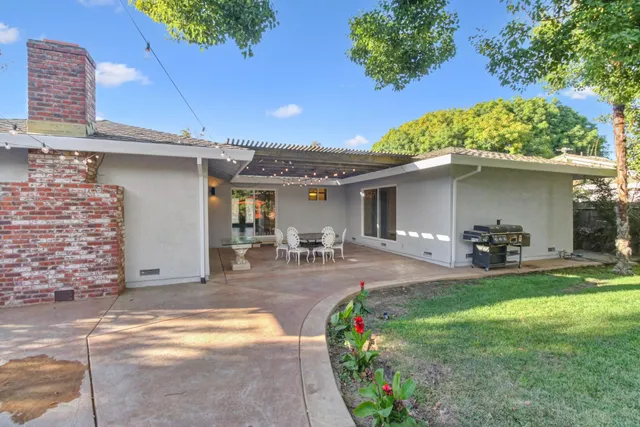 a view of a yard with plants