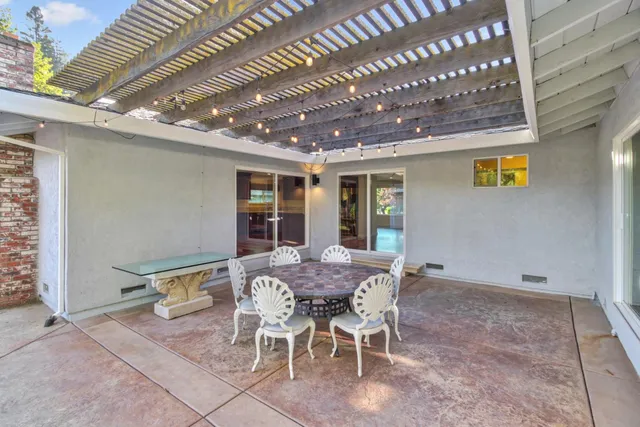 a view of a yard with plants and trees