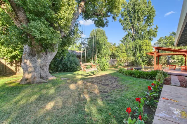 a view of a bunch of plants and trees