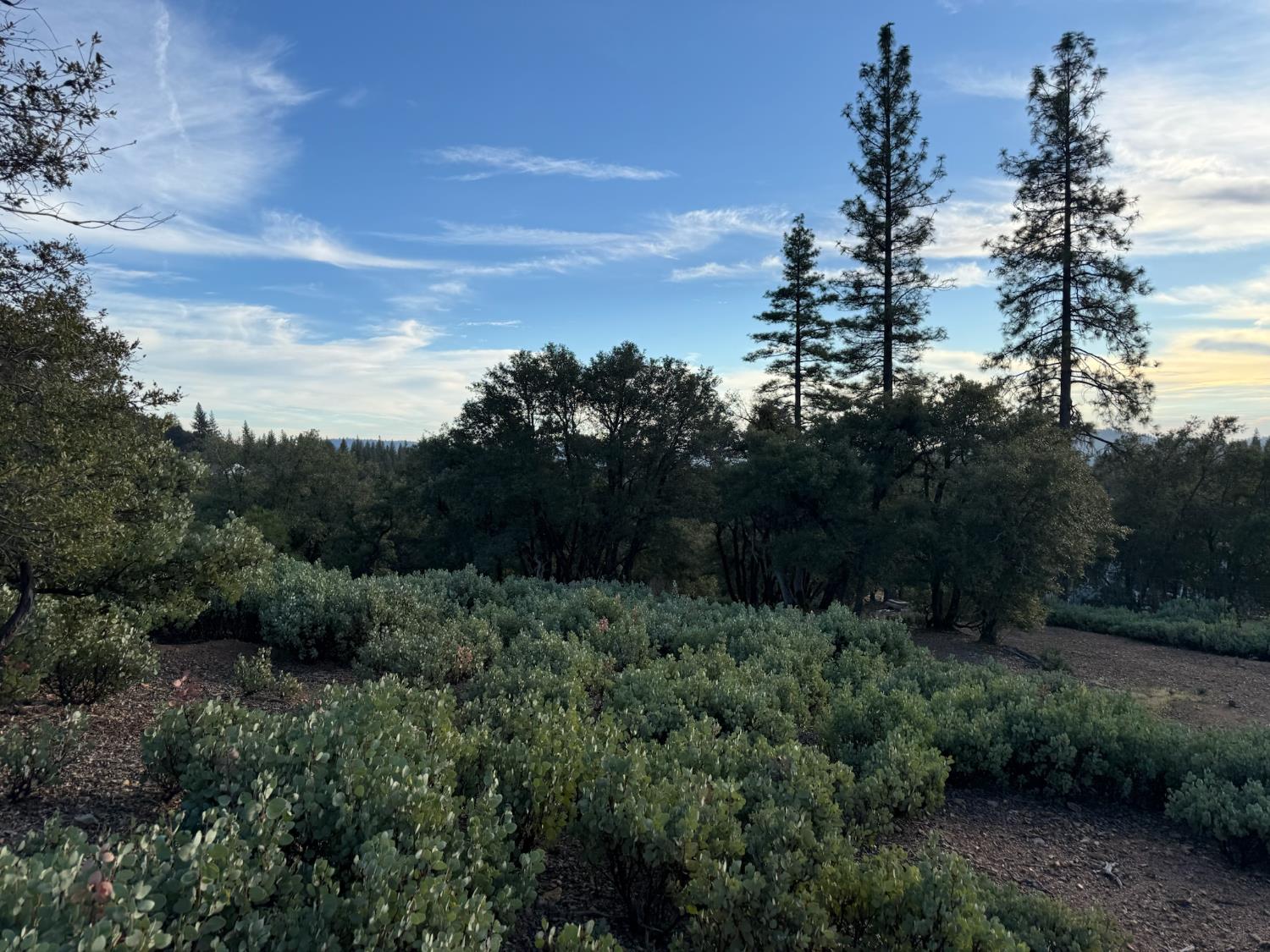 13787 Manion Canyon Road Grass Valley, CA 95945 - Photo 12 of 21 a view of a city