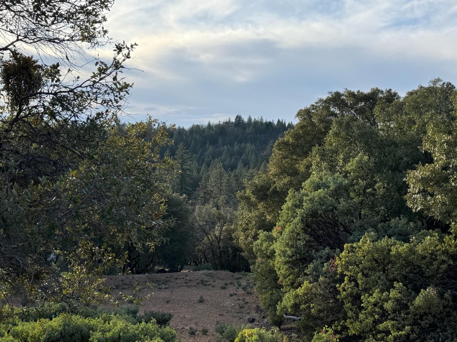 13787 Manion Canyon Road Grass Valley, CA 95945 - Photo 14 of 21