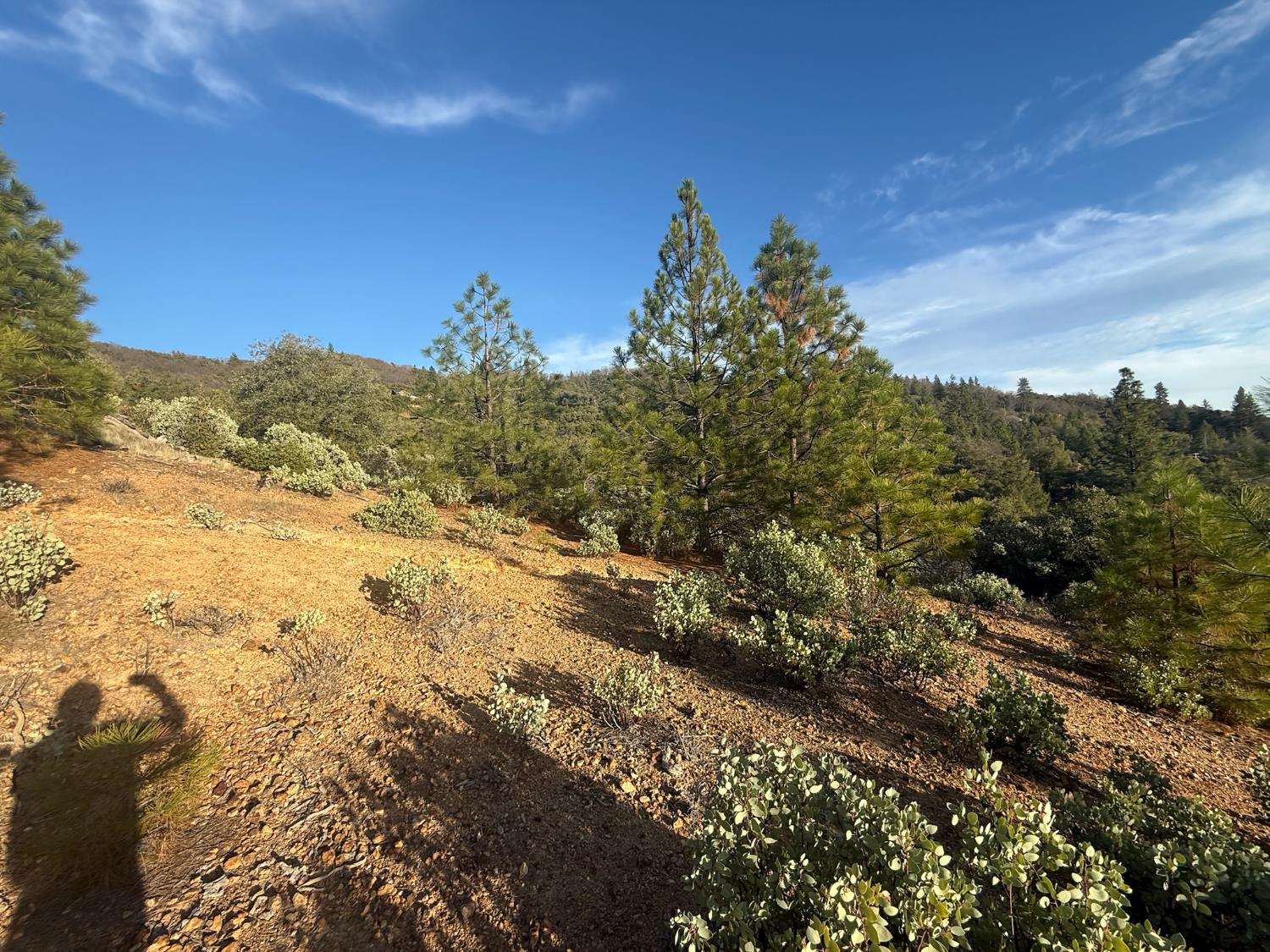 13787 Manion Canyon Road Grass Valley, CA 95945 - Photo 15 of 21 a view of mountain view with mountains in the background