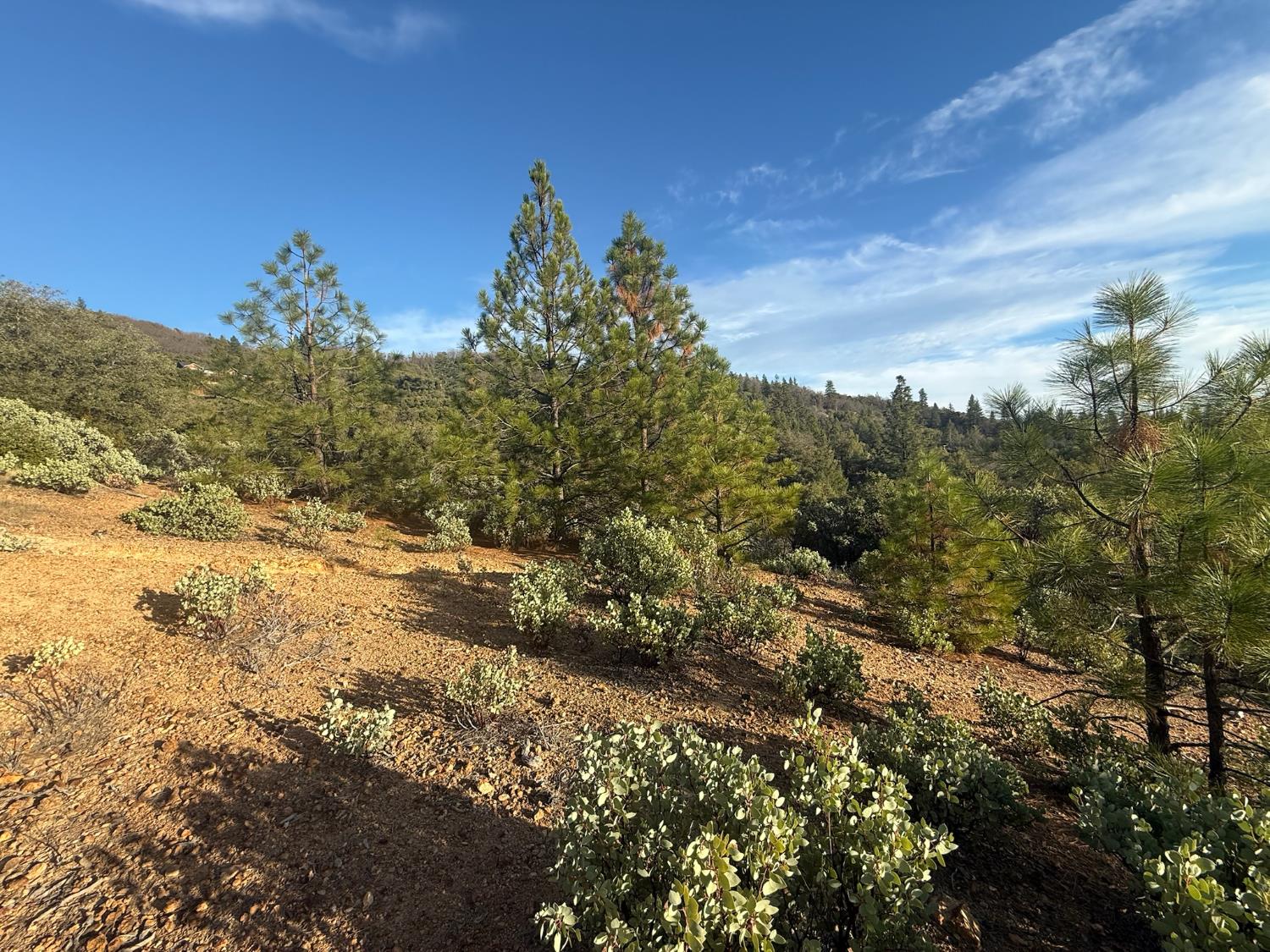 13787 Manion Canyon Road Grass Valley, CA 95945 - Photo 17 of 21 a view of a field with an ocean