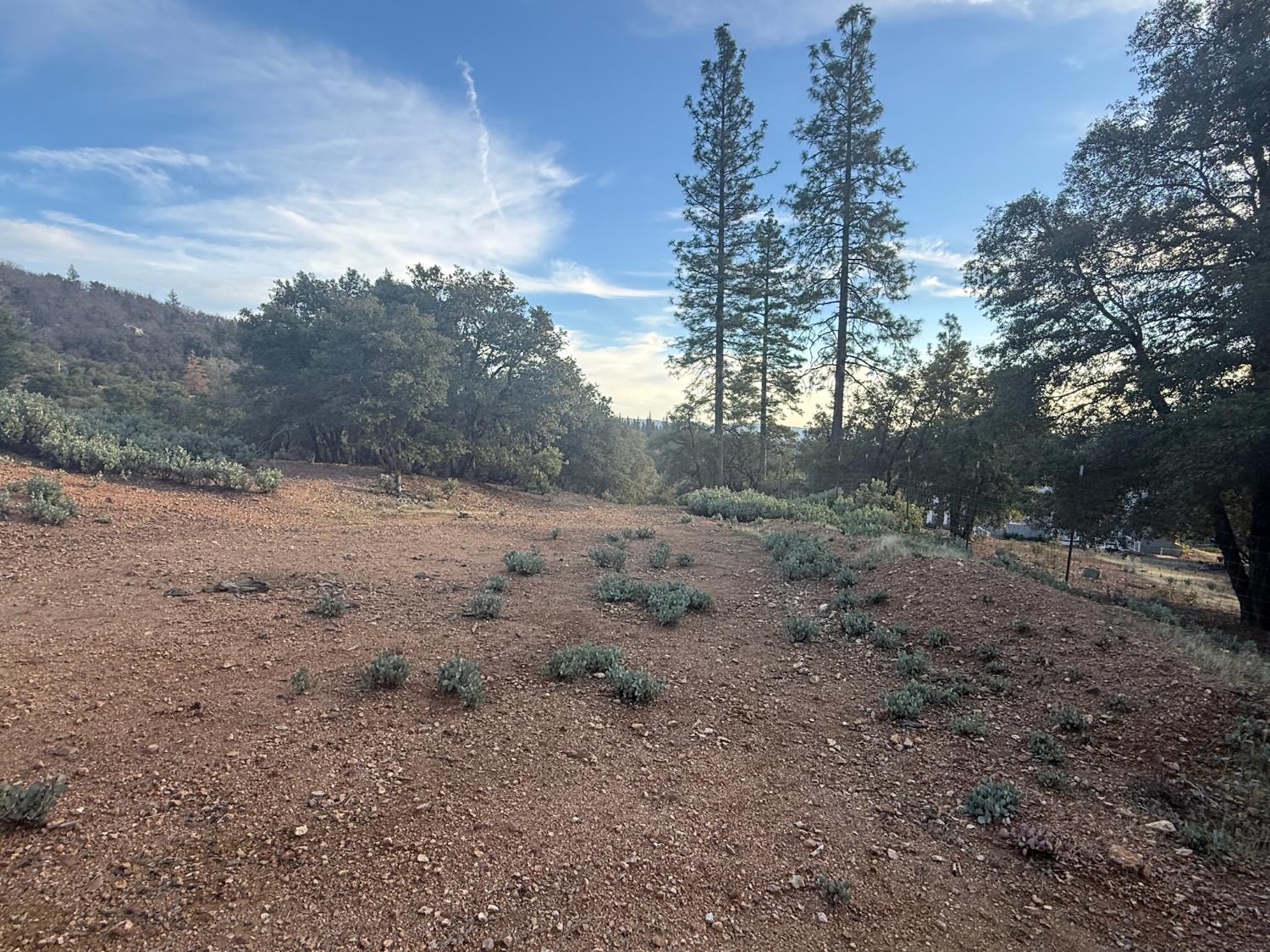 13787 Manion Canyon Road Grass Valley, CA 95945 - Photo 18 of 21 a view of a dirt road with trees