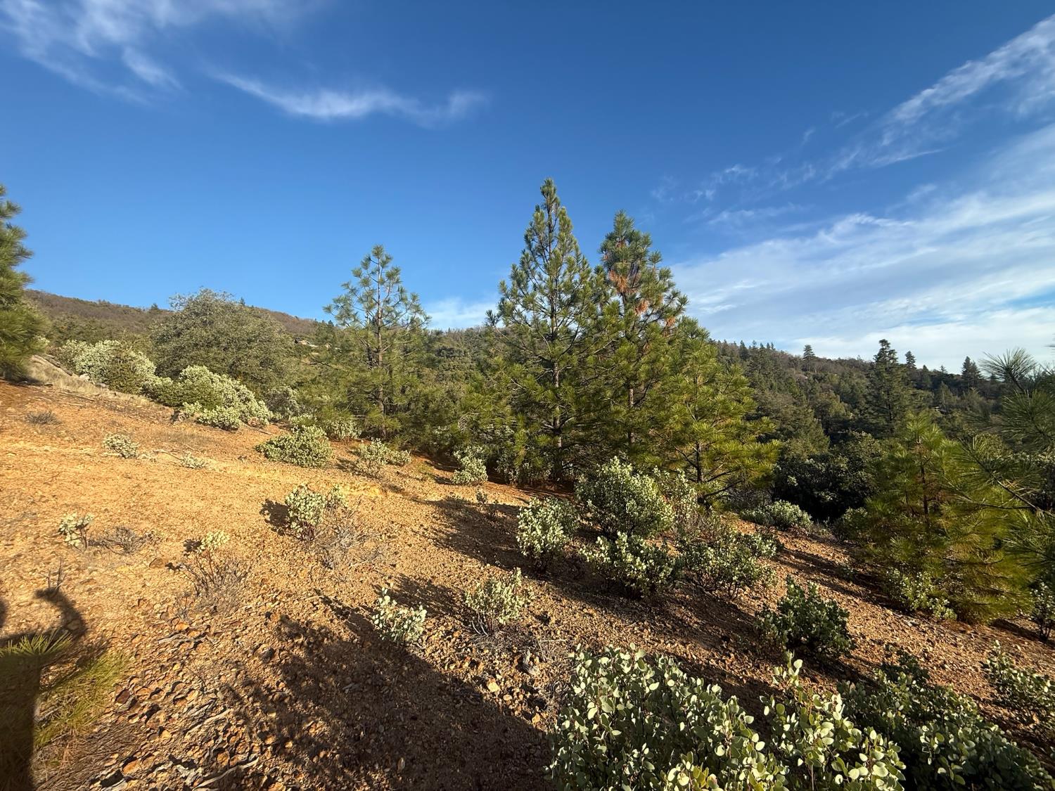 13787 Manion Canyon Road Grass Valley, CA 95945 - Photo 21 of 21 a view of a houses with a yard