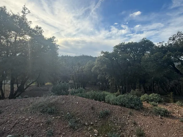 a view of outdoor space and yard
