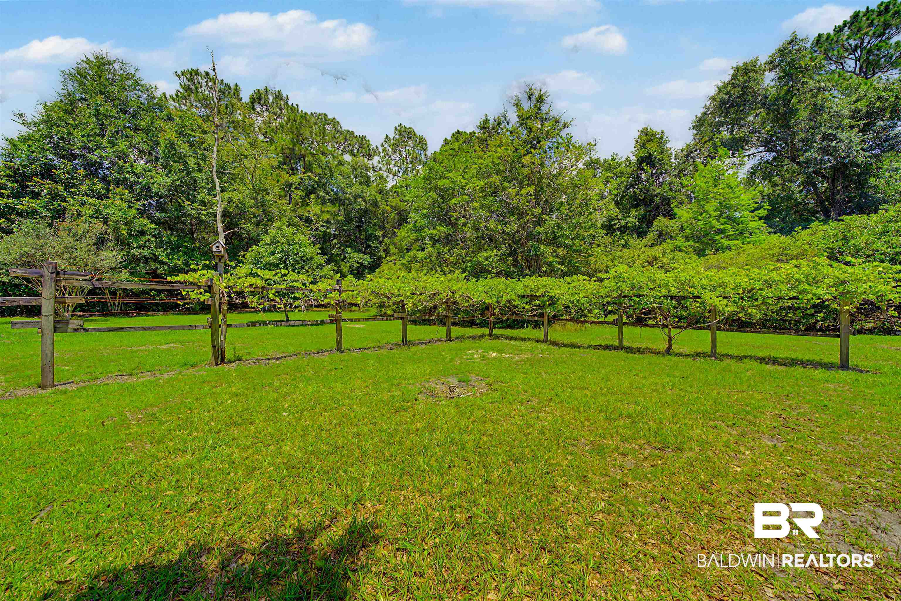 22963 Highway 98 Foley, AL 36535 - Photo 39 of 52 Expansive green lawn with established landscaping