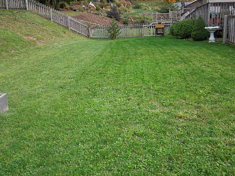 155 Rustic Ridge Drive Plum, PA 15239 - Photo 24 of 25 Yard/Garden.