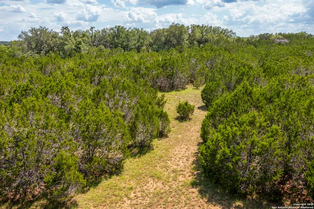 a view of lake and mountain