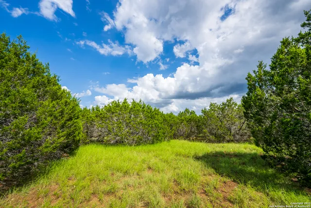 a backyard of a house with lots of green space and garden