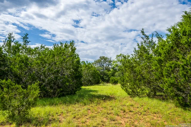 a view of a yard with a house in the background